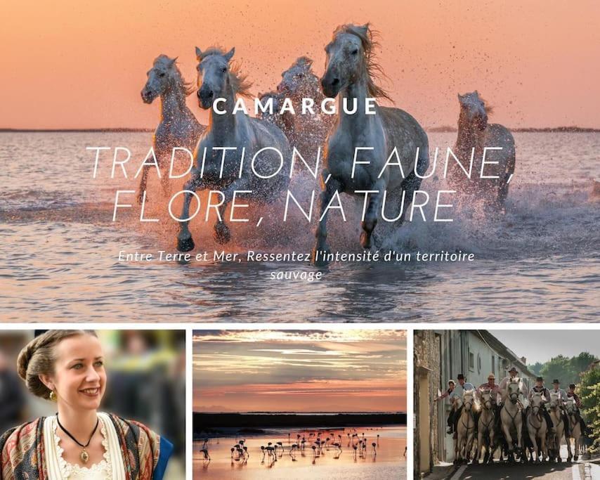 Le Nautilus Proche Plage Clim Parking Prive Wifi Proche Montpellier Carnon-Plage Eksteriør bilde